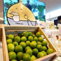 เปิดลายแทงของขวัญดีต่อใจและสถานที่น่าเที่ยวต้อนรับปีใหม่ จาก “โครงการสำนึกรักบ้านเกิด 2567”