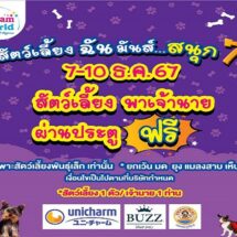 กลับมาอีกครั้ง 7 – 10 ธ.ค. ศกนี้ พาสัตว์เลี้ยงเที่ยวดรีมเวิลด์ ฟรี!