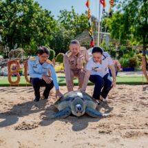 ผบ.ทร.-นายกสมาคมภริยาทหารเรือ ปล่อยเต่าทะเล “นัองเต่าสีชัง” กลับคืนสู่ธรรมชาติ