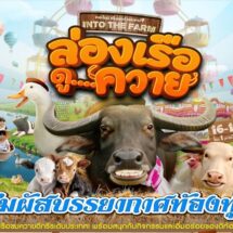 เดอะไนน์ เซ็นเตอร์ พระราม 9 ต้อนรับปิดเทอม ชวนเด็ก ๆ สัมผัสบรรยากาศท้องทุ่ง “ล่องเรือดู…ควาย”
