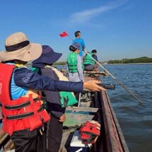 กรมทรัพยากรฯ ไม่พบปลาหมอคางดำใน 4 บริเวณปากแม่น้ำ 4 จังหวัด