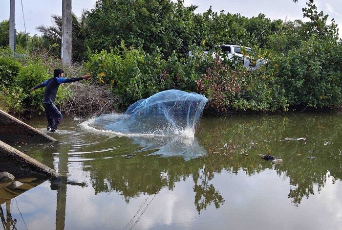 ประมงนครศรีธรรมราช ลงพื้นที่ขนาบนาก พบสัตว์น้ำหลากหลายชนิด ชุมชนสร้างมูลค่าเพิ่มจากปลาต่างถิ่น