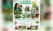 ชวนช้อปต้นไม้ฟอกอากาศ เติมความสดชื่นให้ทุกมุมโปรด ในงาน “Plant Garden” @พาราไดซ์ พาร์ค