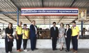 “ทำบุญ 1 ได้ถึง 2 ชีวิต” 2 สมาคมสื่อ ทำบุญไถ่ชีวิตโคท้องแก่ มอบแก่สมาคมประชาคมคนตาบอดไทย
