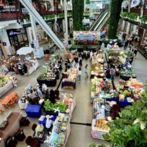 สายเฮลตี้ห้ามพลาด! ‘Bangkok Farmers Market’ ขนผัก-ผลไม้สดปลอดสาร ที่เดอะไนน์ พระราม 9