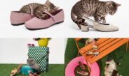 เอ็ม บี เค เซ็นเตอร์ ชวนสัมผัสคอลเลกชันใหม่จาก “บาจา” ภายใต้แคมเปญ “Make Yourself Comfortable”