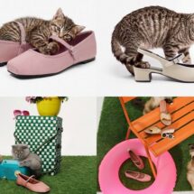 เอ็ม บี เค เซ็นเตอร์ ชวนสัมผัสคอลเลกชันใหม่จาก “บาจา” ภายใต้แคมเปญ “Make Yourself Comfortable”