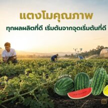 เจียไต๋ ชูแนวคิด “ทุกผลผลิตที่ดี เริ่มต้นจากจุดเริ่มต้นที่ดี” ต่อยอดความเชี่ยวชาญด้านเมล็ดพันธุ์แตงโม