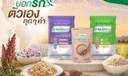 ข้าวมาบุญครอง ยกระดับตลาดข้าวเพื่อสุขภาพ ชูคอนเซปต์ “อร่อยคู่สุขภาพ” ส่งมื้อสุขสู่ทุกบ้าน